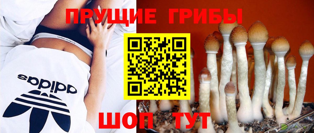 Галлюциногенные грибы мицелий Балашиха