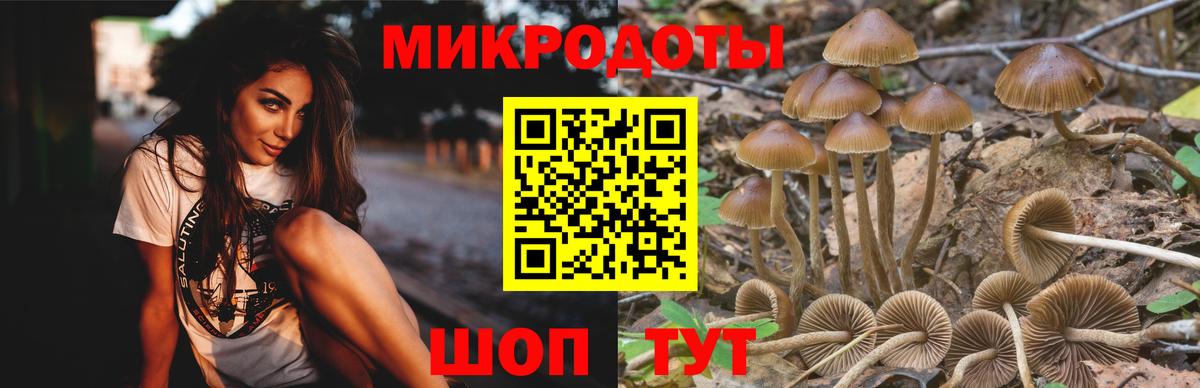 Псилоцибиновые грибы GOLDEN TEACHER  Галлюциногенные грибы Cubensis  Вход с VPN  Балашиха 